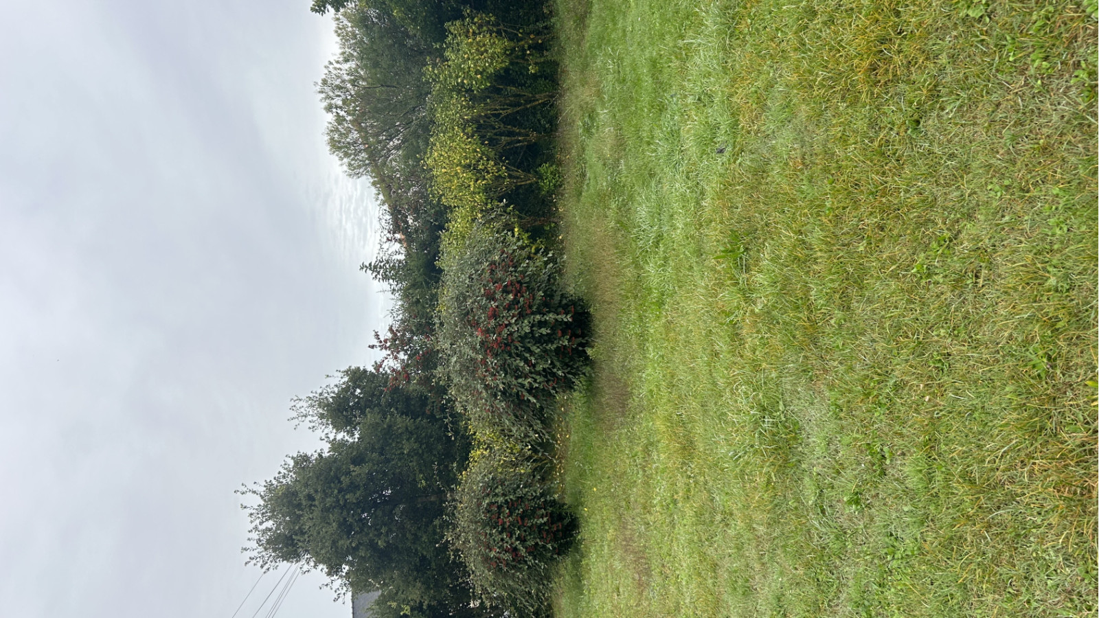 Terrain constructible de 410m2 à Saint-Nazaire