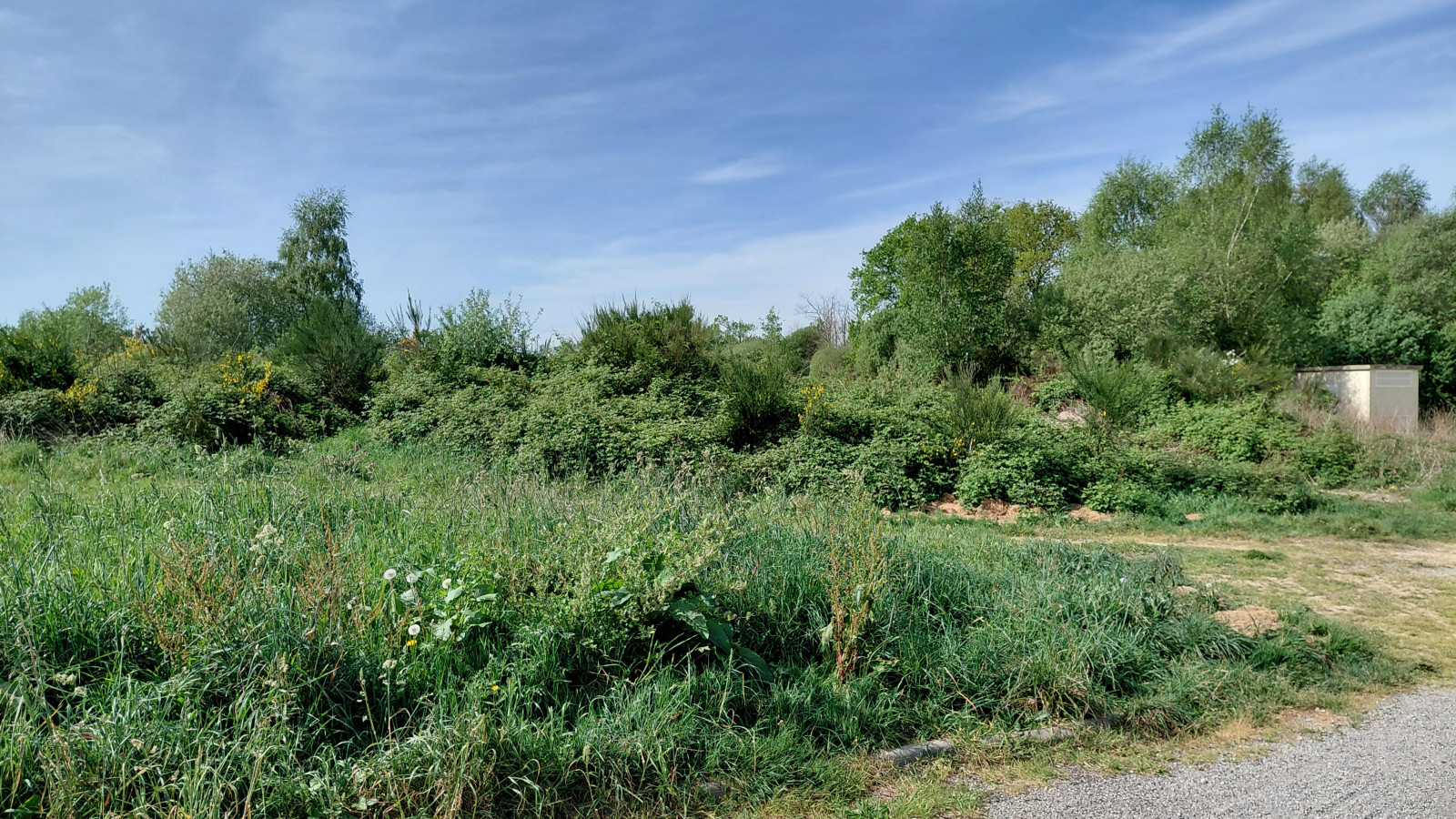 Terrain constructible de 1080m2 à Brandérion