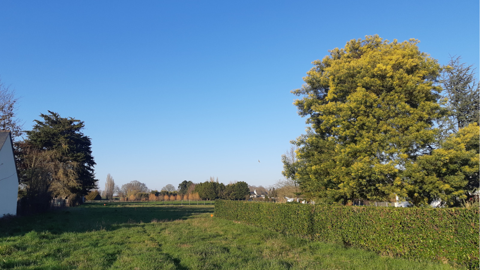 Terrain constructible de 1380m2 à Sainte-Reine-de-Bretagne