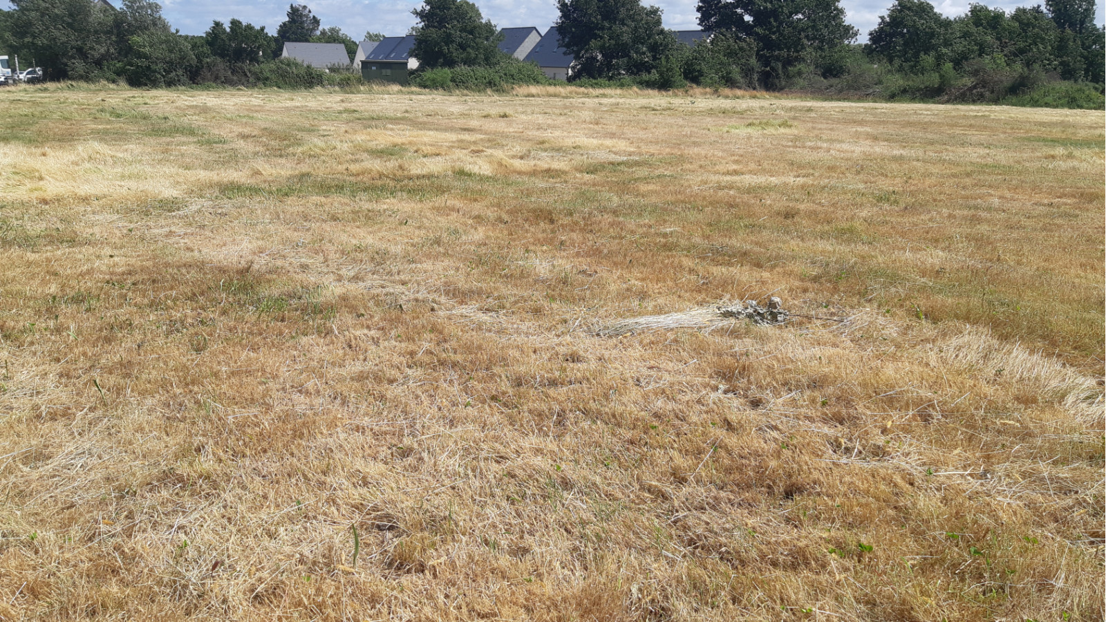 Terrain constructible de 890m2 à Saint-Gildas-des-Bois