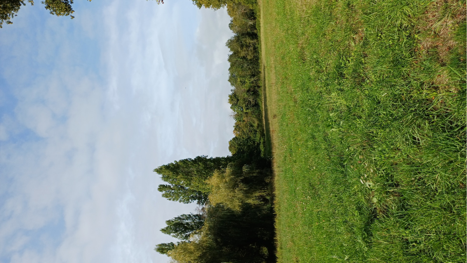 Terrain constructible de 355m2 à Nozay