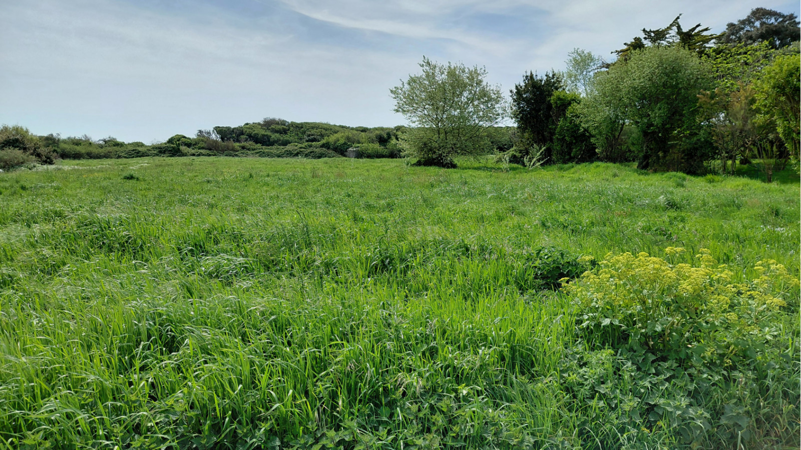 Terrain constructible de 240m2 à Gâvres