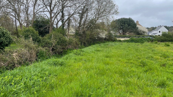 ERDEVEN VIABILIS 4.jpg