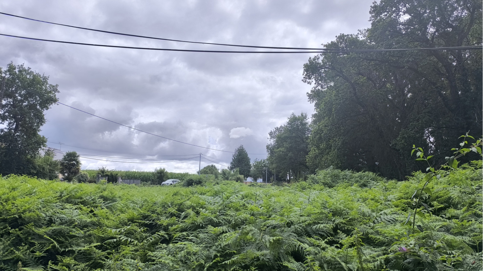 Terrain constructible de 350m2 à Assérac