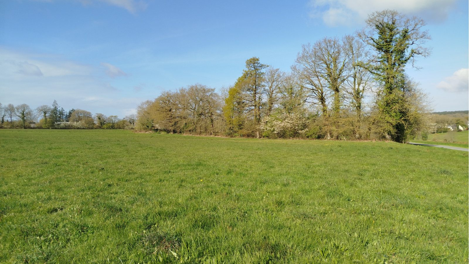 Terrain constructible de 300m2 à Chanteloup