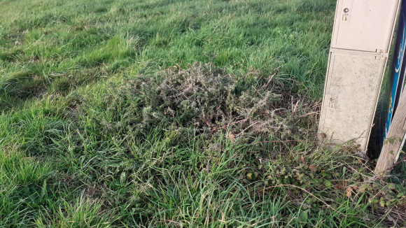 20201110_160322.jpg