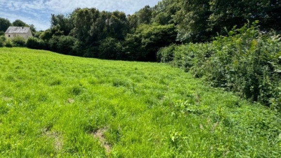 Photo terrain Larré.jpg