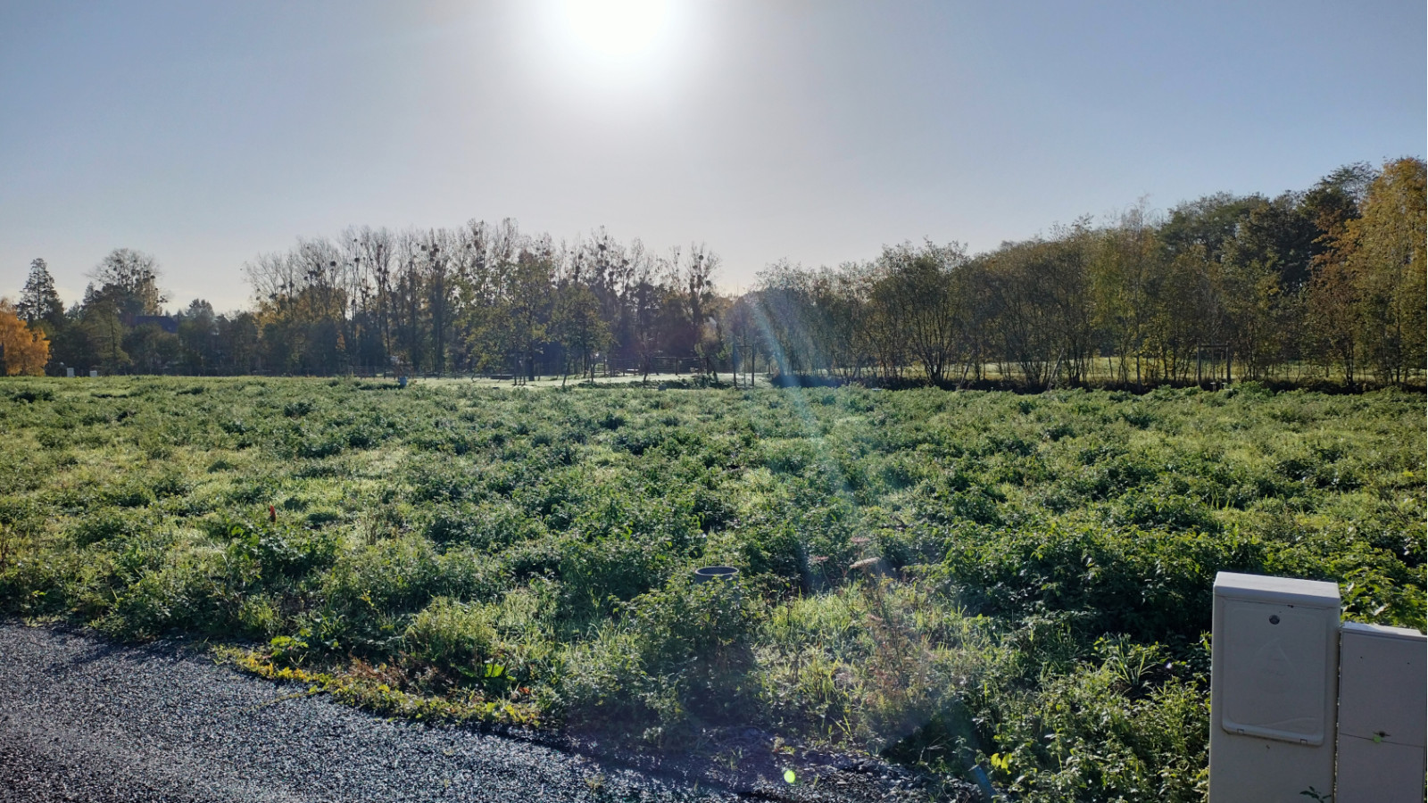Terrain constructible de 313m2 à Dourdain