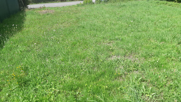 20200703_162857.jpg