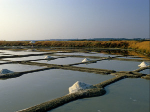 Constructeur de maison à Guérande voir l’agence