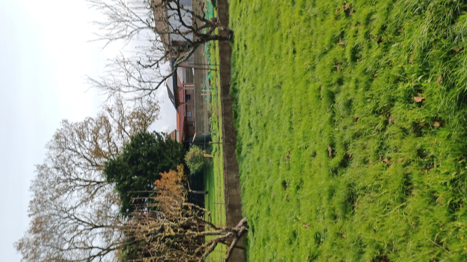 Terrain constructible de 400m2 à Vue