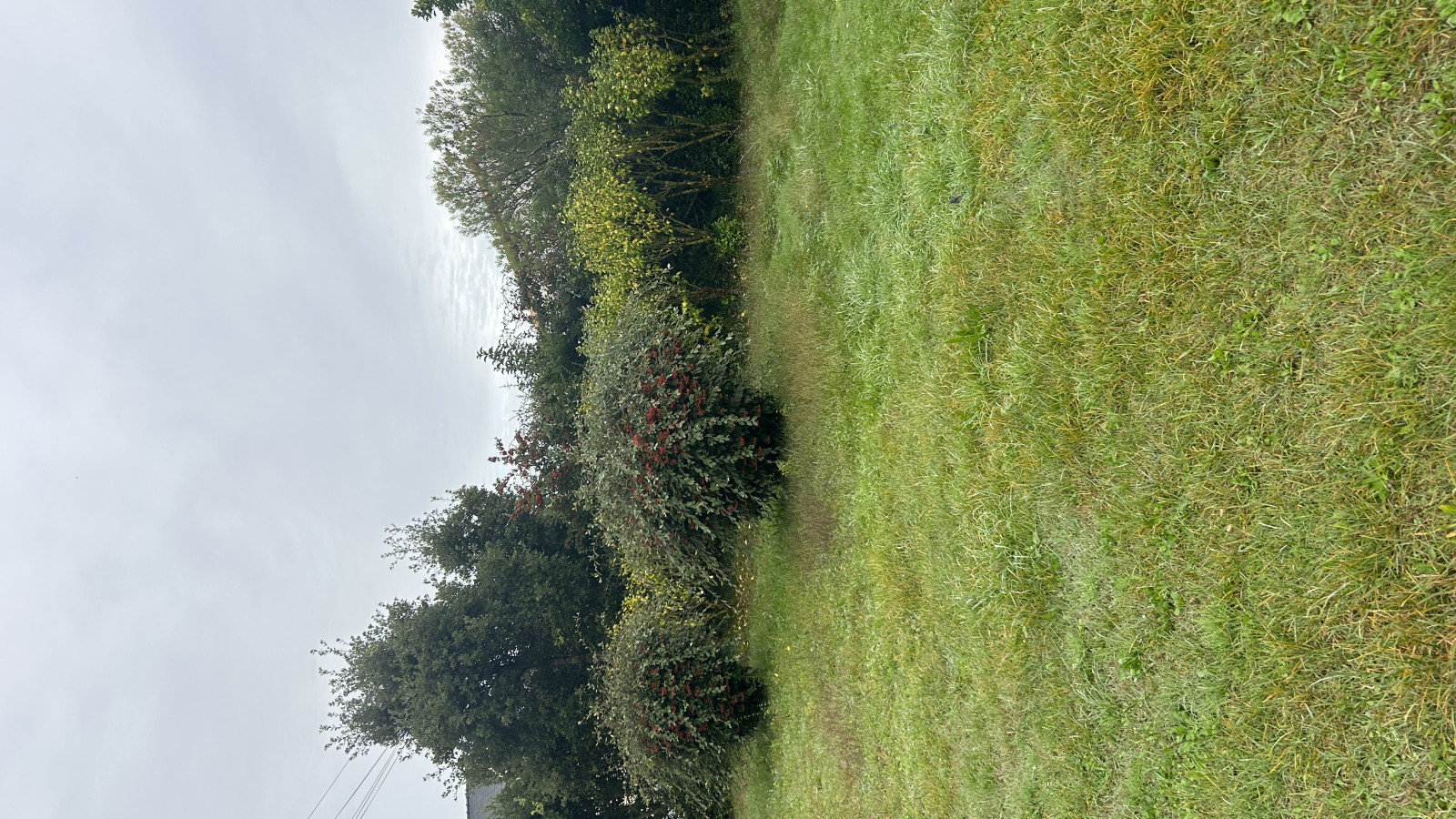 Terrain constructible de 550m2 à Guérande