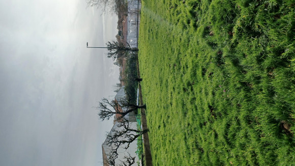 20241126_144633.jpg