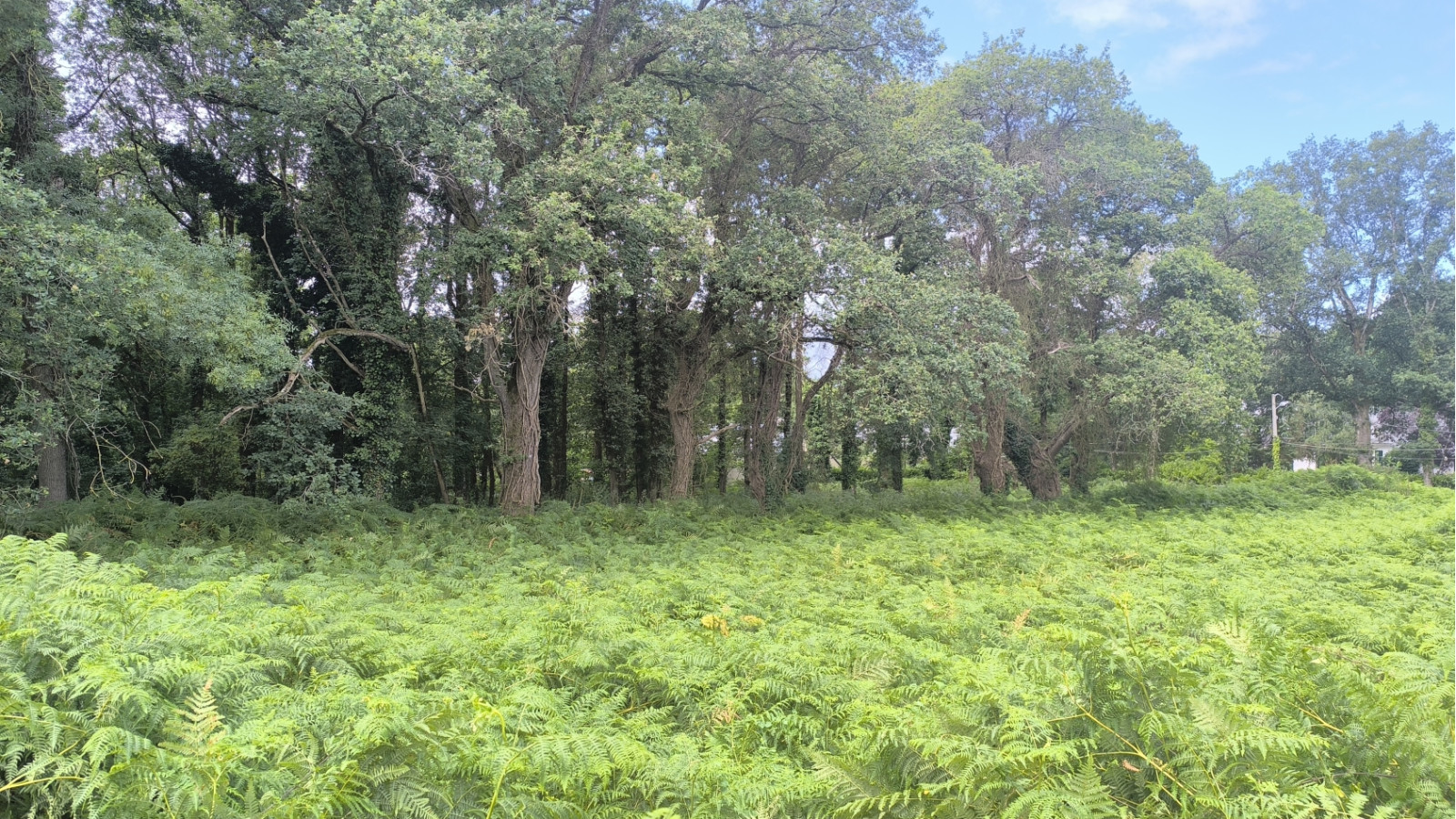 Terrain constructible de 605m2 à Besné