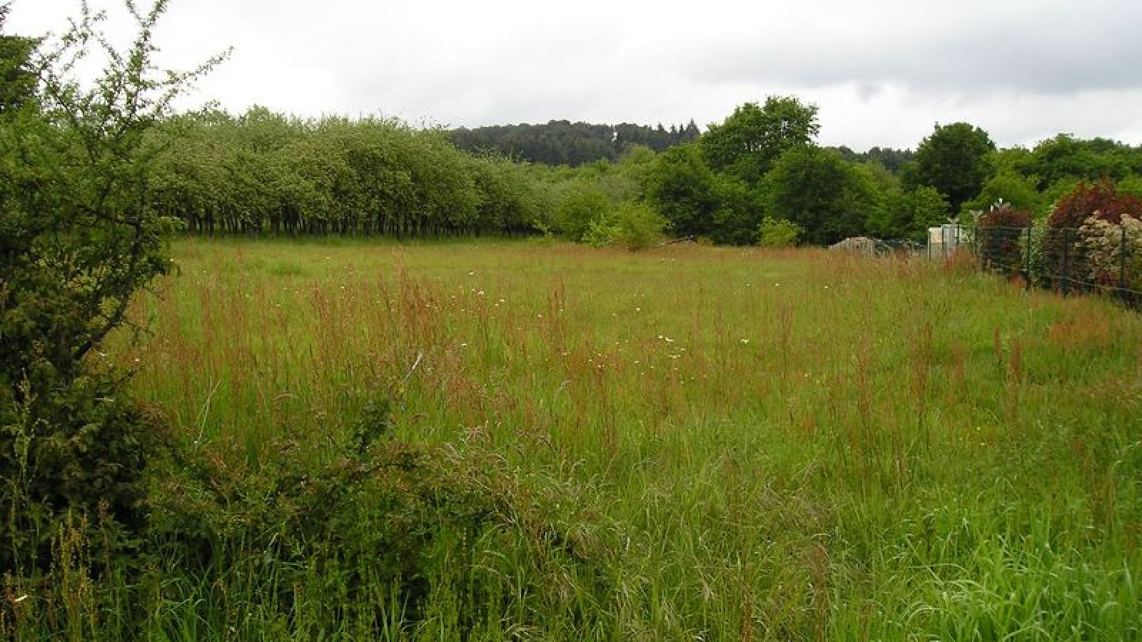 Terrain constructible de 860m2 à Crossac