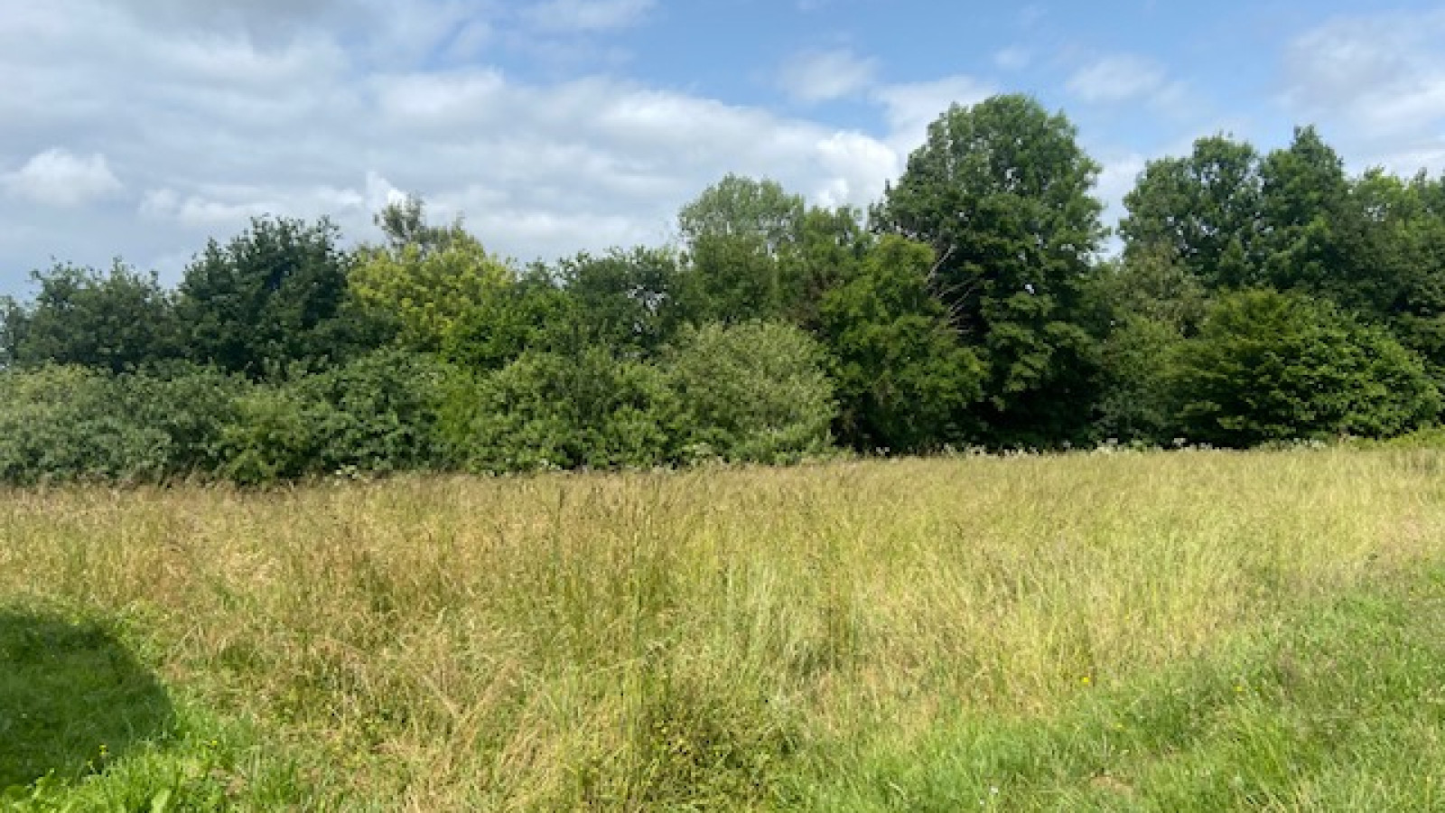 Terrain constructible de 1200m2 à Saint-Gildas-des-Bois