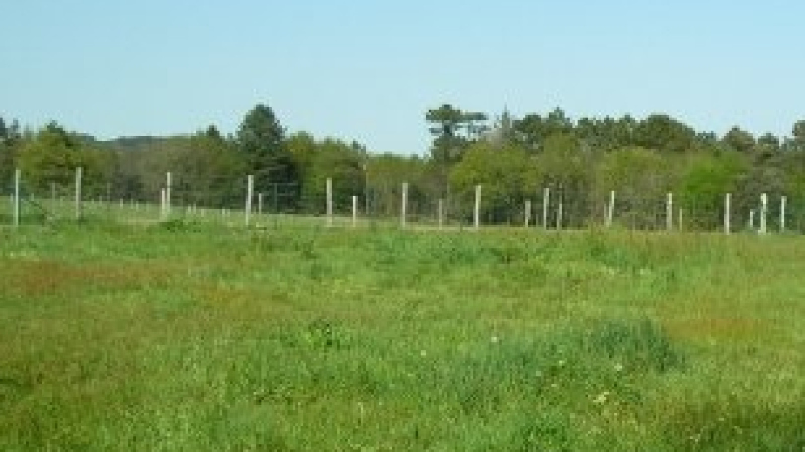 Terrain constructible de 2230m2 à Massérac