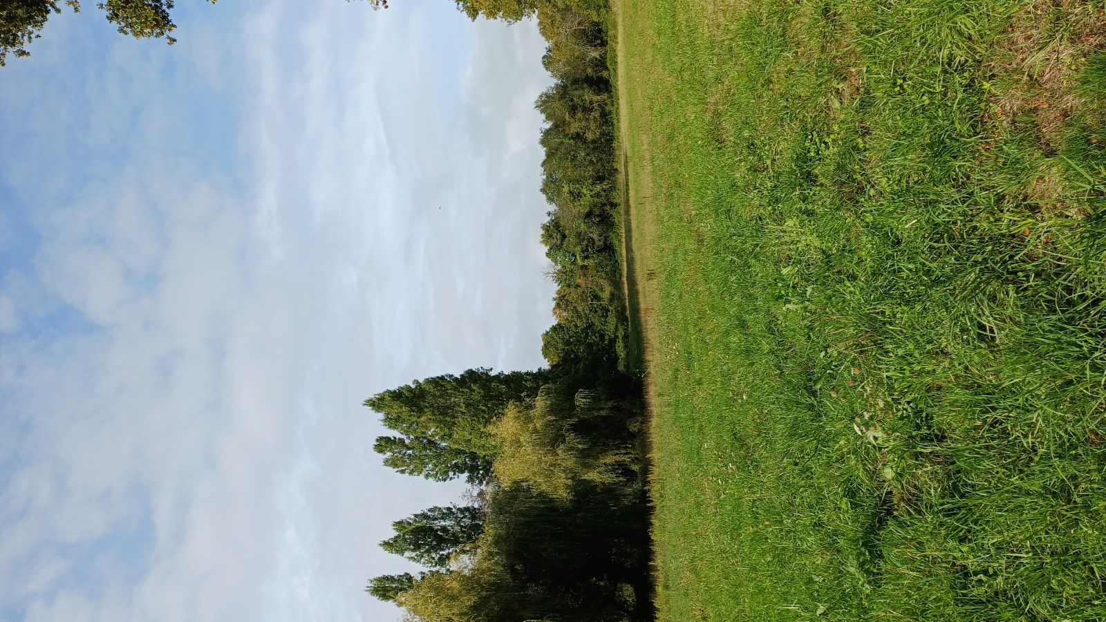 Terrain constructible de 1200m2 à Fay-de-Bretagne