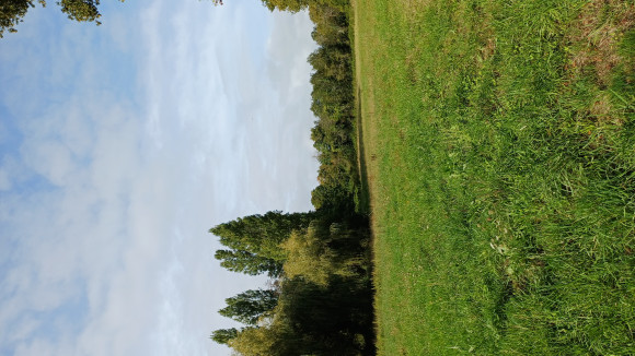 20250916_111554.jpg