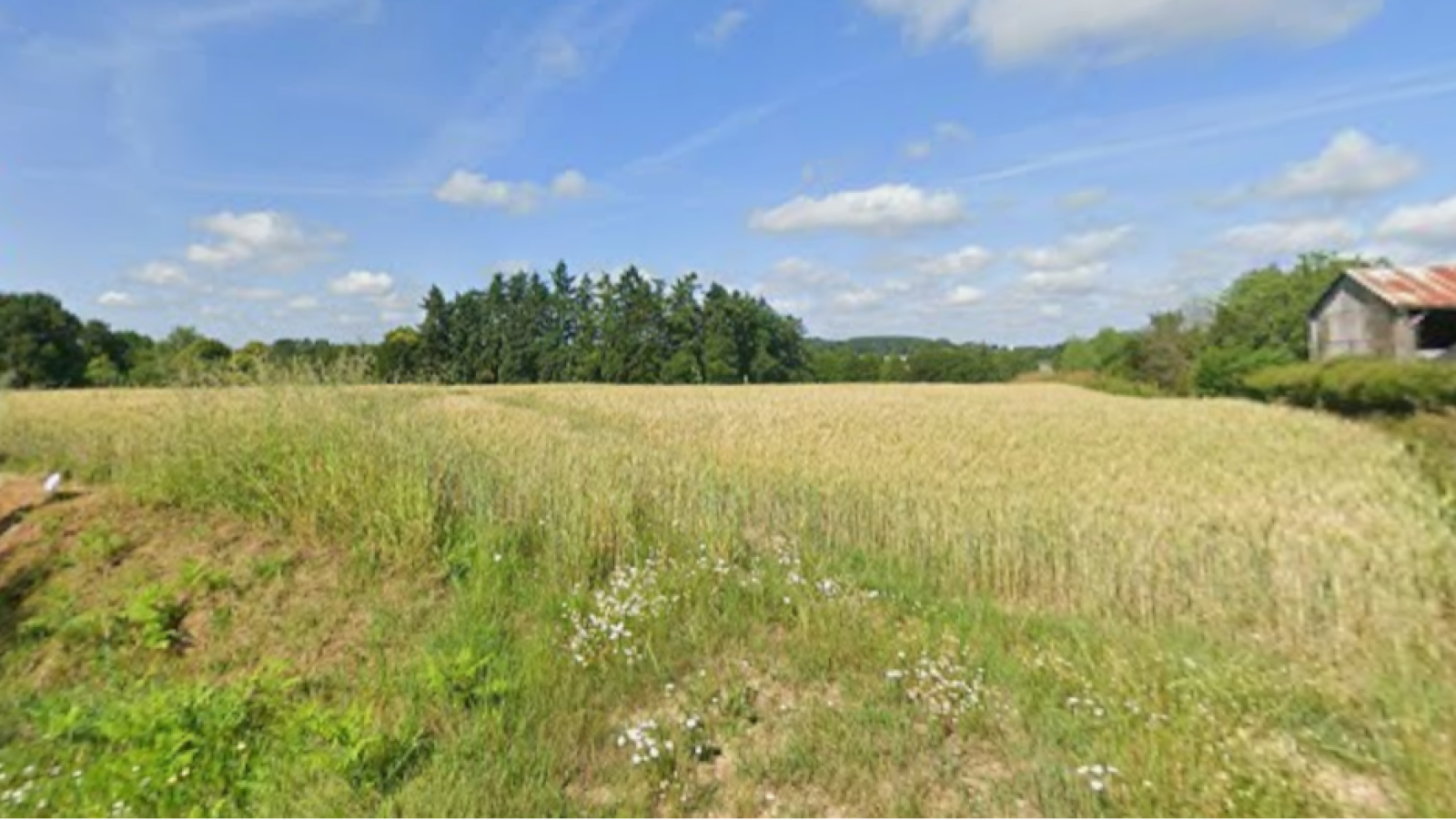 Terrain constructible de 317m2 à Dingé
