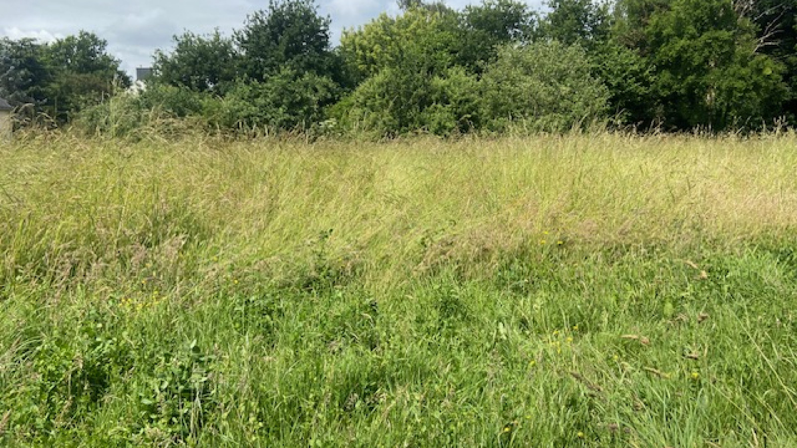 Terrain constructible de 1340m2 à Pontchâteau