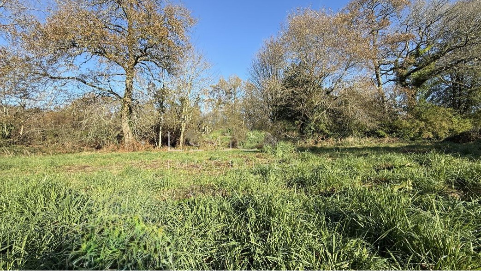 Terrain constructible de 1200m2 à Tréméven