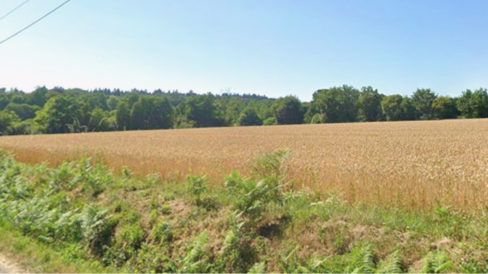 Terrain constructible de 416m2 à Torcé