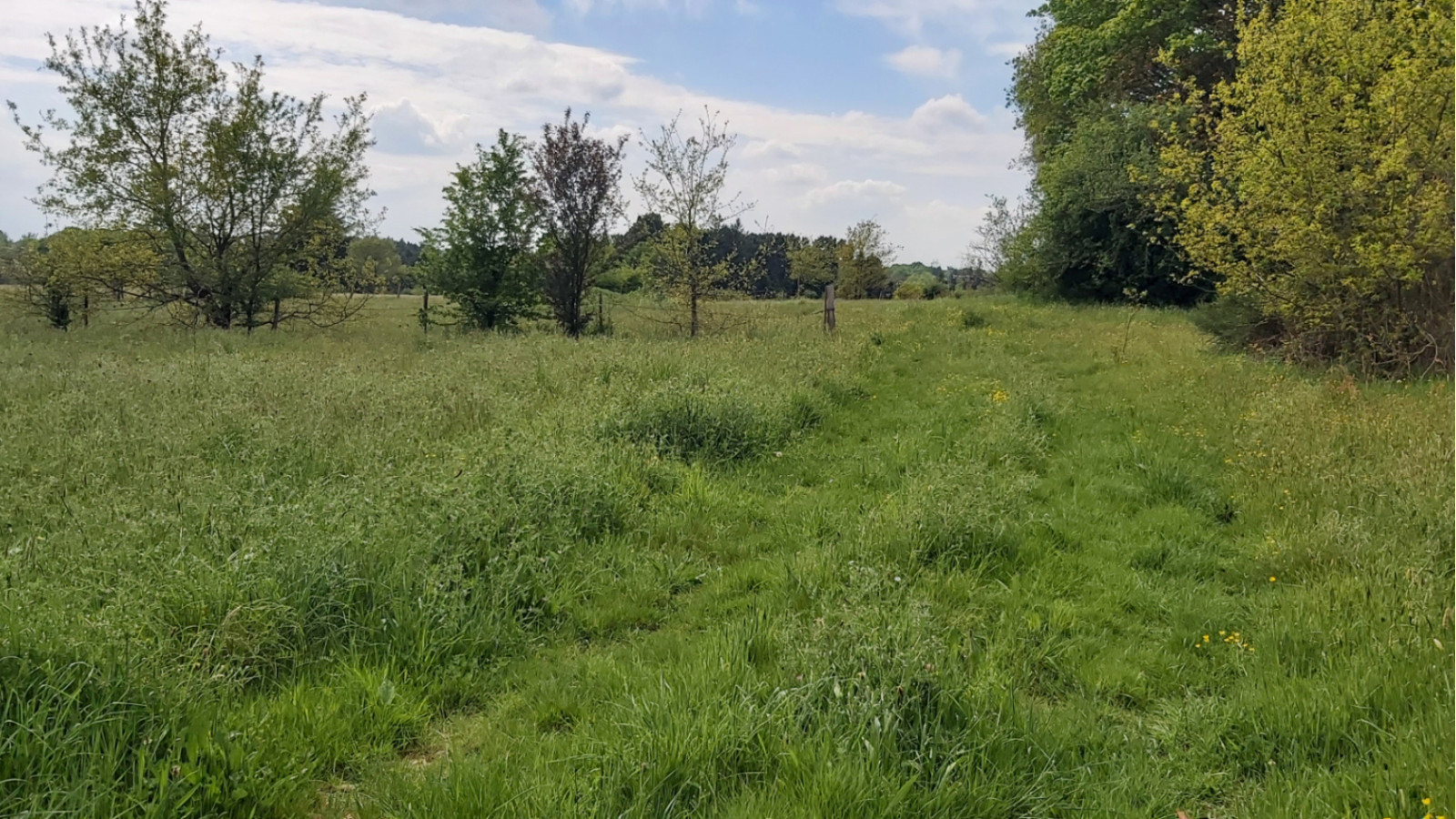 Terrain constructible de 2000m2 à La Chapelle-des-Marais