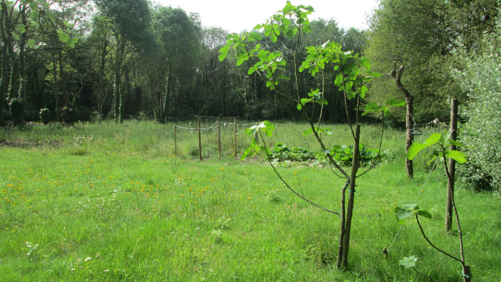 Terrain constructible de 1300m2 à Pontchâteau