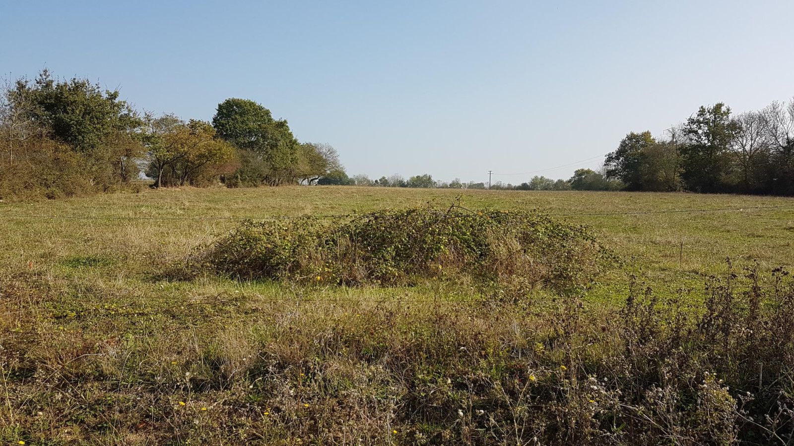 Terrain constructible de 352m2 à Le Loroux-Bottereau