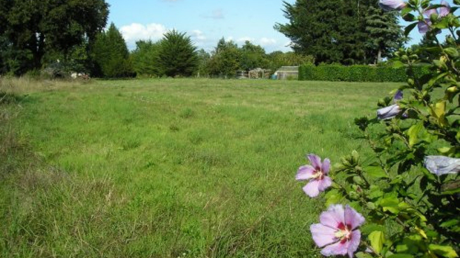 Terrain constructible de 1341m2 à Pontchâteau