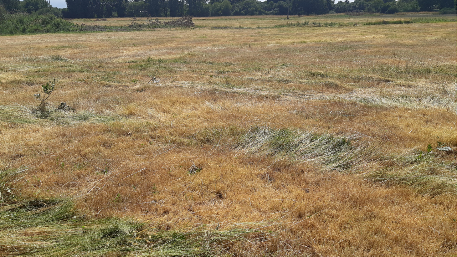 Terrain constructible de 750m2 à Crossac