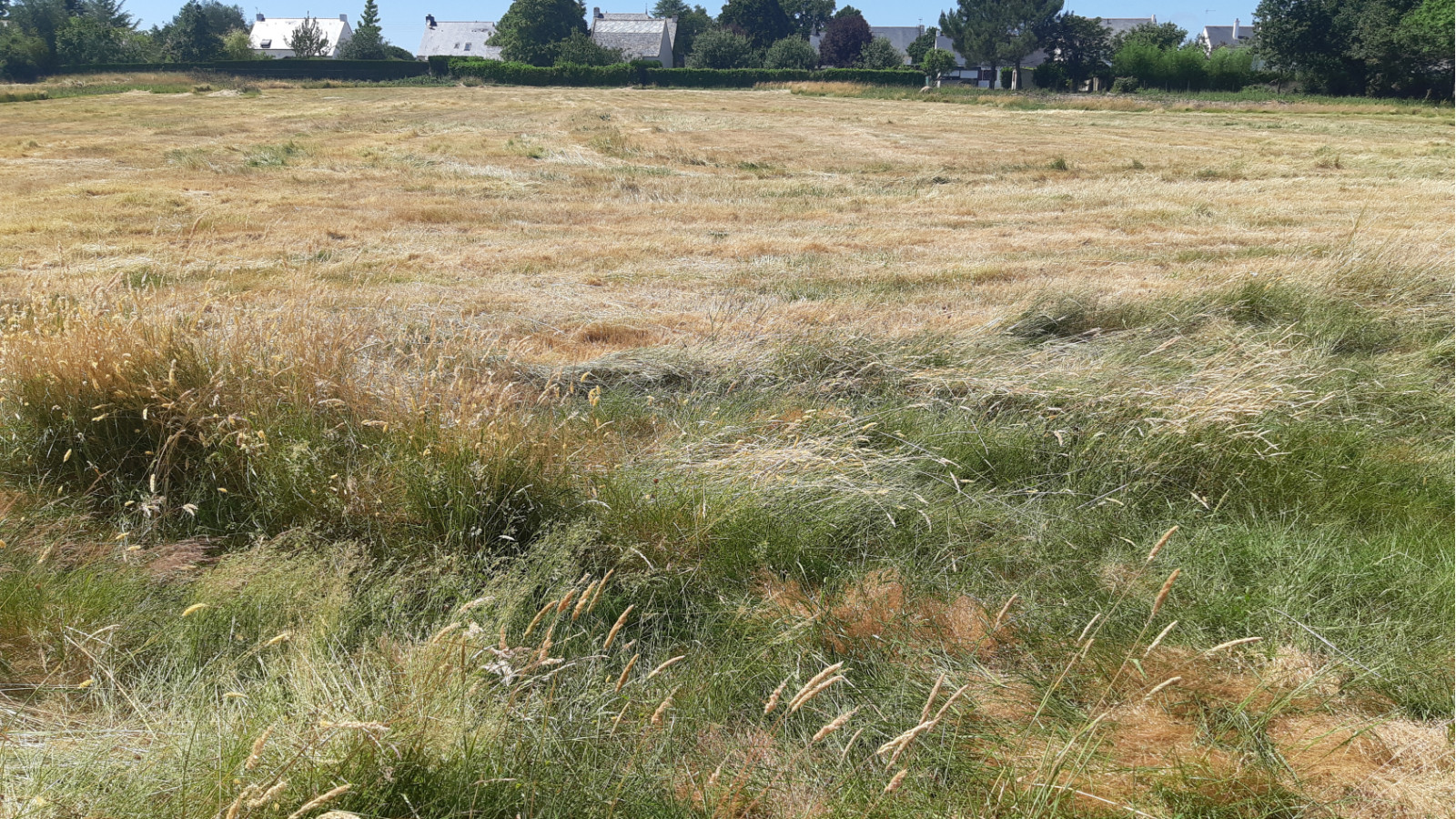 Terrain constructible de 2000m2 à La Chapelle-des-Marais