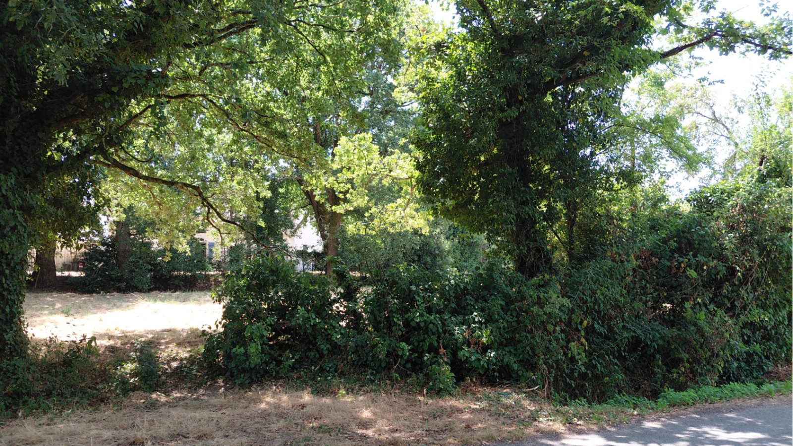 Terrain constructible de 900m2 à Sainte-Reine-de-Bretagne