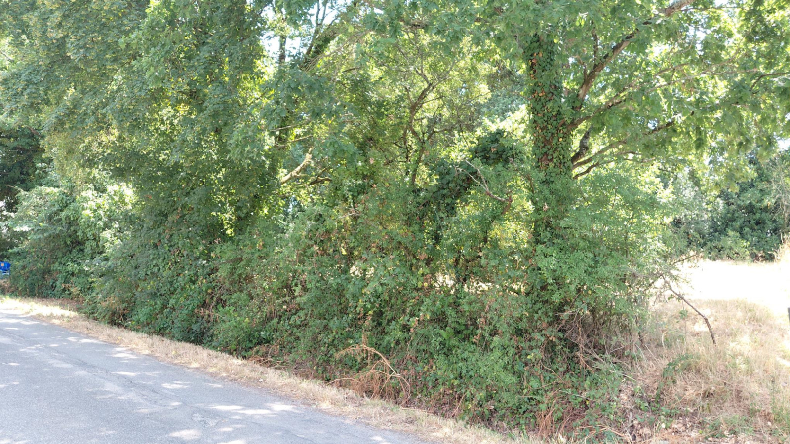 Terrain constructible de 1150m2 à Fégréac