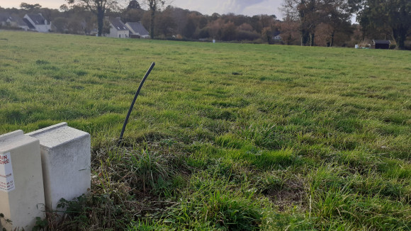 20201110_160309.jpg