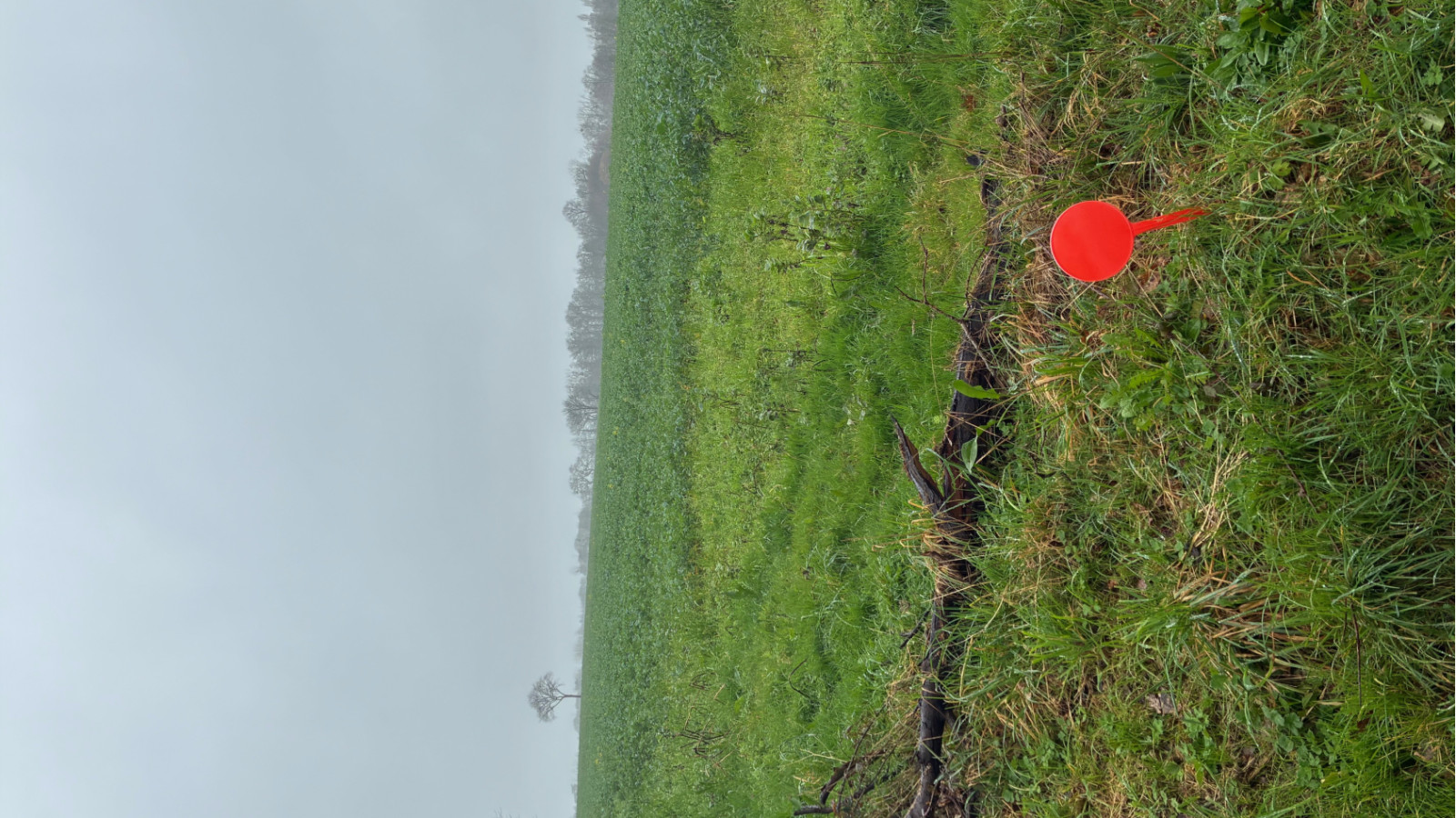 Terrain constructible de 980m2 à Sainte-Reine-de-Bretagne