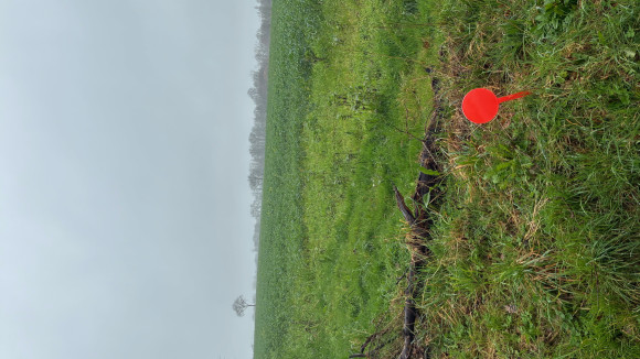 image3(19).jpeg