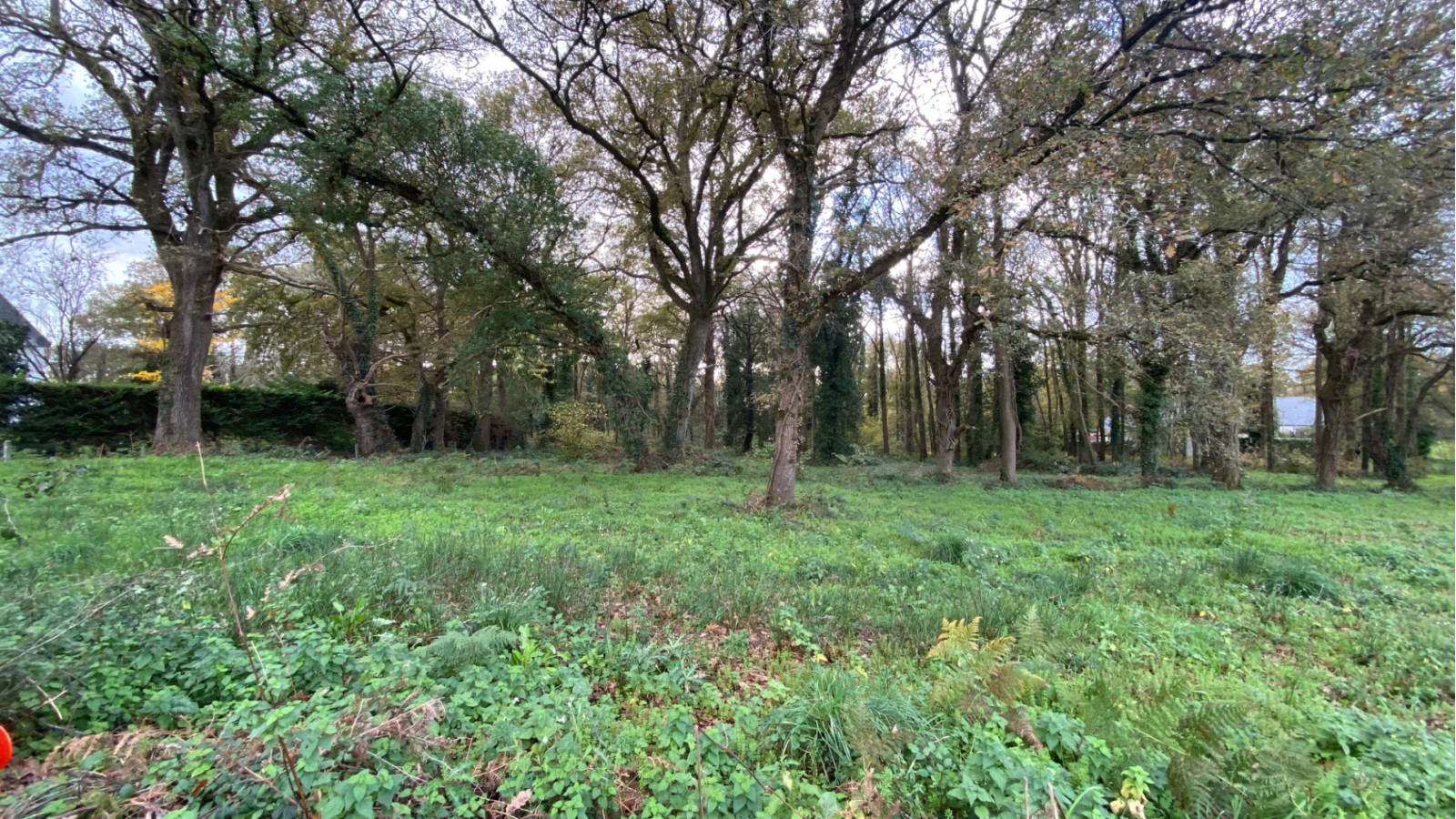 Terrain constructible de 1370m2 à Drefféac