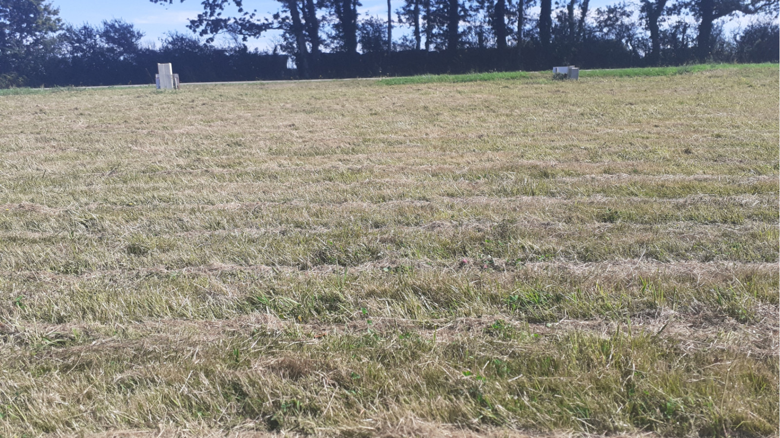 Terrain constructible de 1200m2 à Saint-Joachim