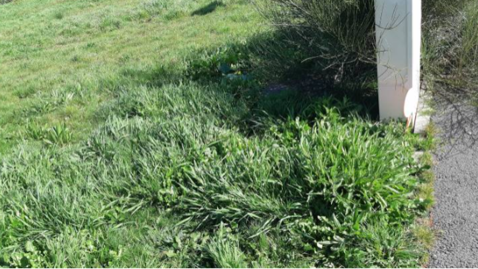 Terrain constructible de 435m2 à Saint-Malo
