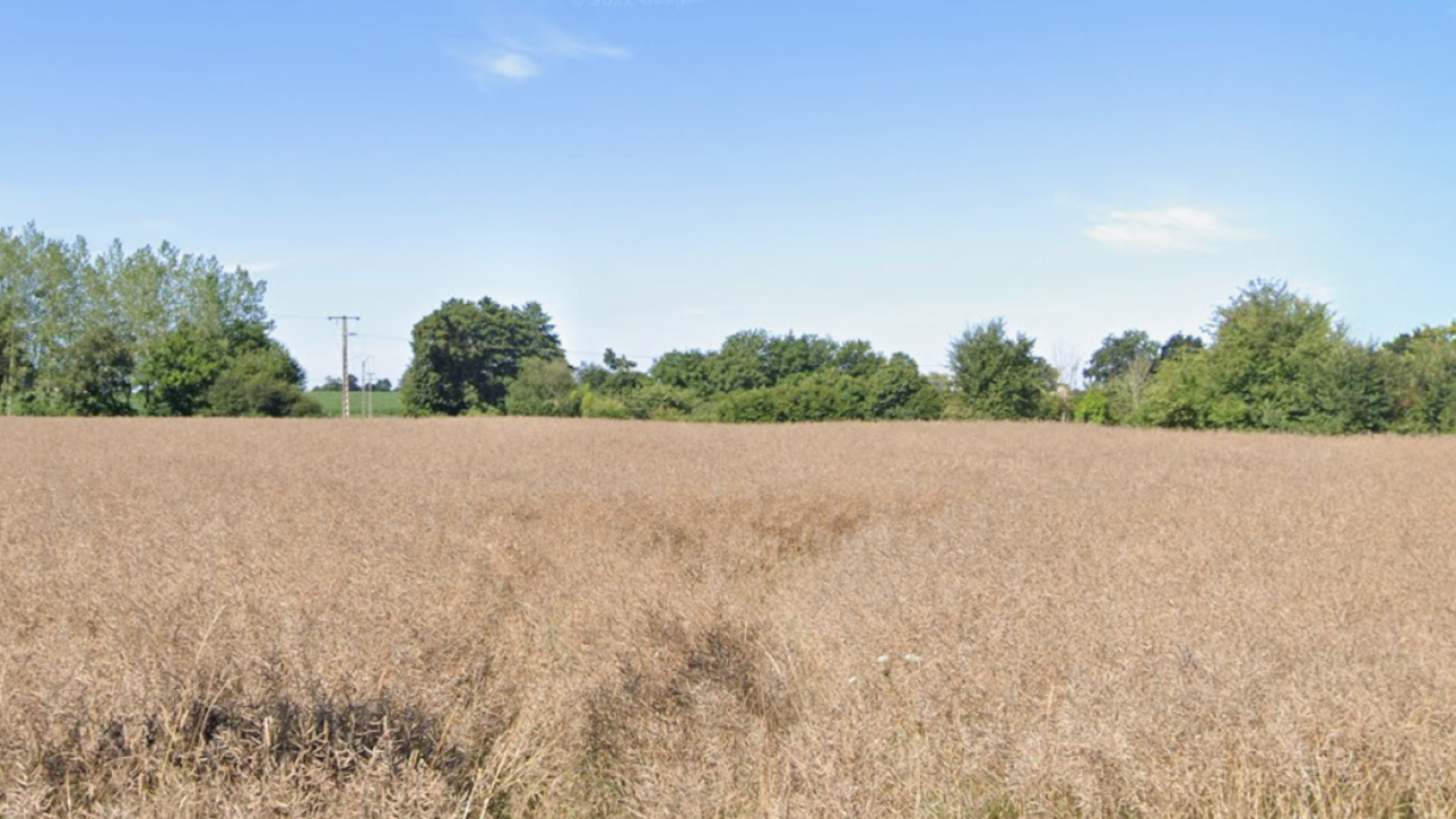 Terrain constructible de 300m2 à Monterfil