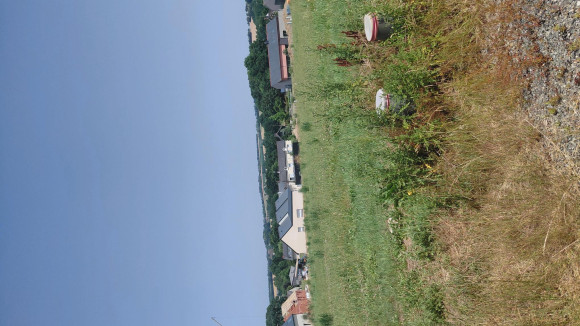20260623_133827.jpg