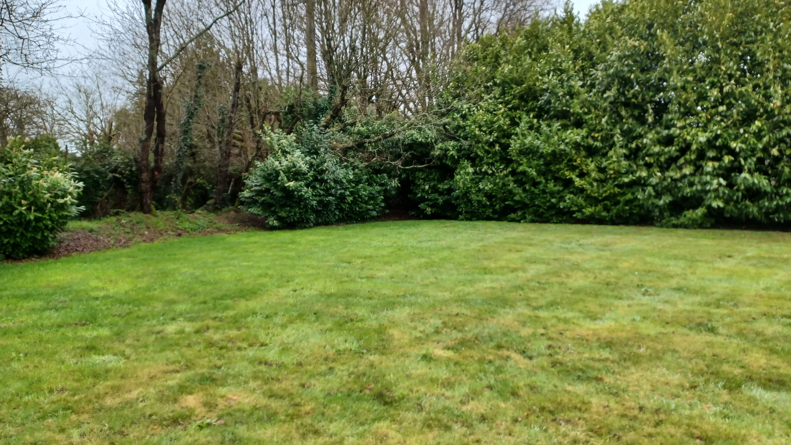 Terrain constructible de 500m2 à Orvault