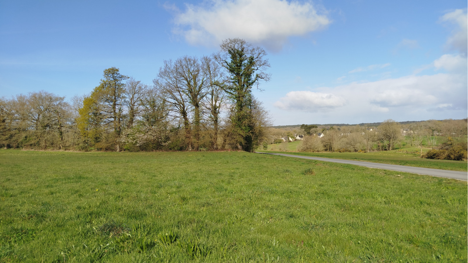 Terrain constructible de 470m2 à Baguer-Pican