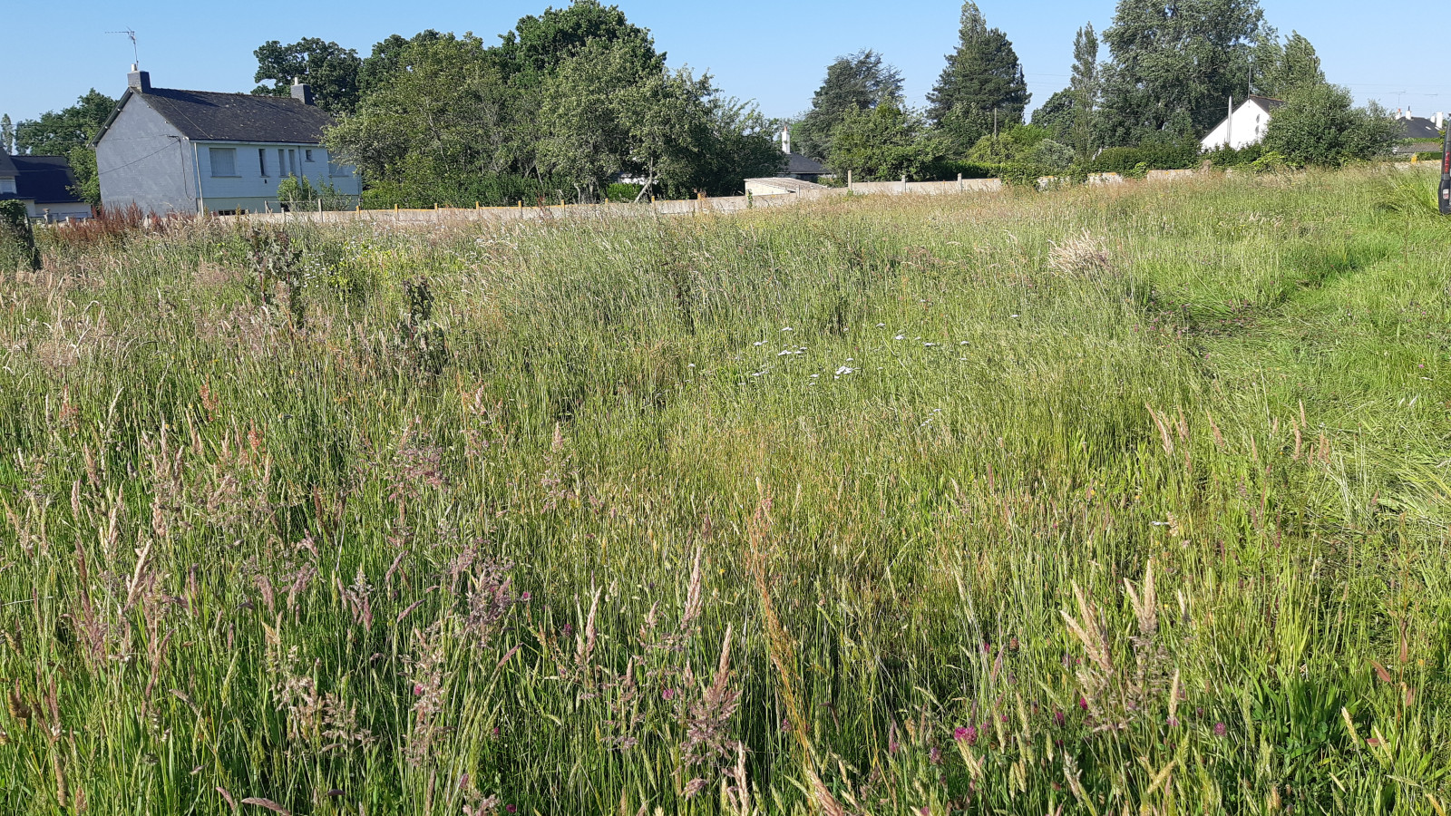 Terrain constructible de 680m2 à Malville
