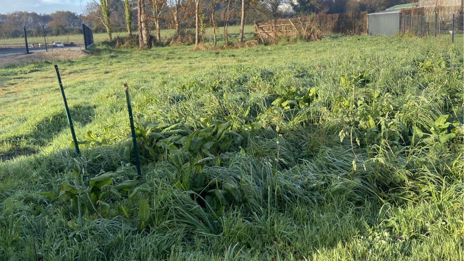 Terrain constructible de 1300m2 à Saint-Joachim