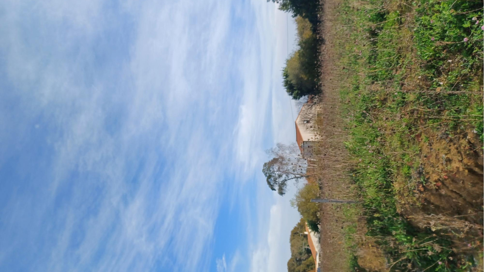 Terrain constructible de 600m2 à Saint-Hilaire-de-Chaléons