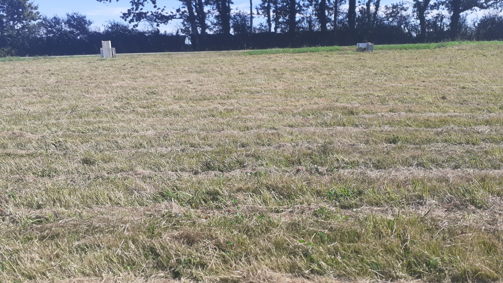 Terrain constructible de 2100m2 à Missillac