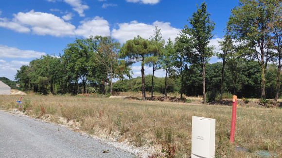 20260806_150429.jpg